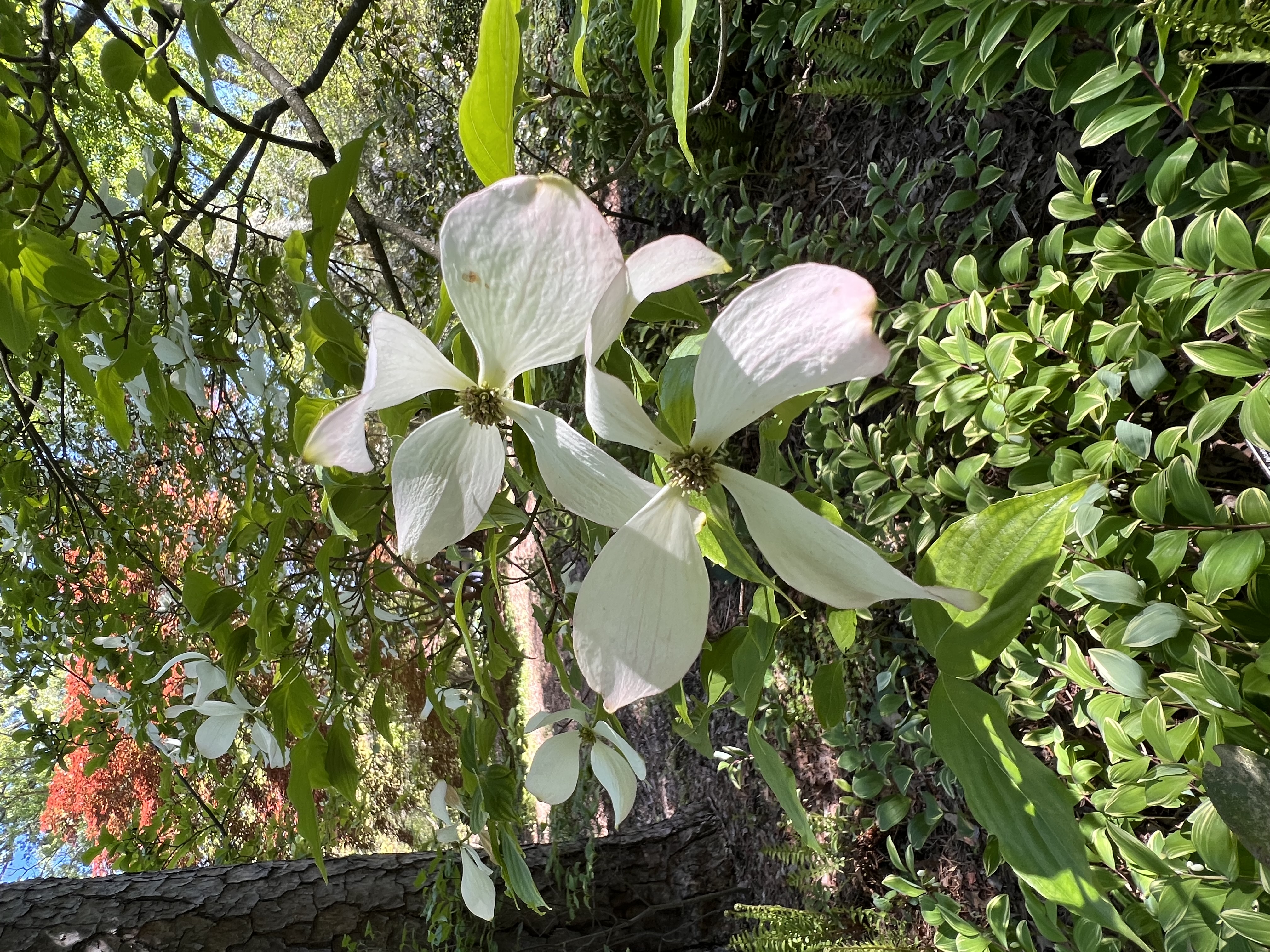 ./2023/05 - Toni Adventures/IMG_3233.JPG